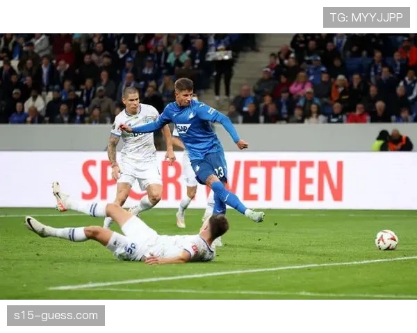 布格尔梅开二度助霍芬海姆逆转取胜 布格尔梅开二度助霍芬海姆逆转取胜