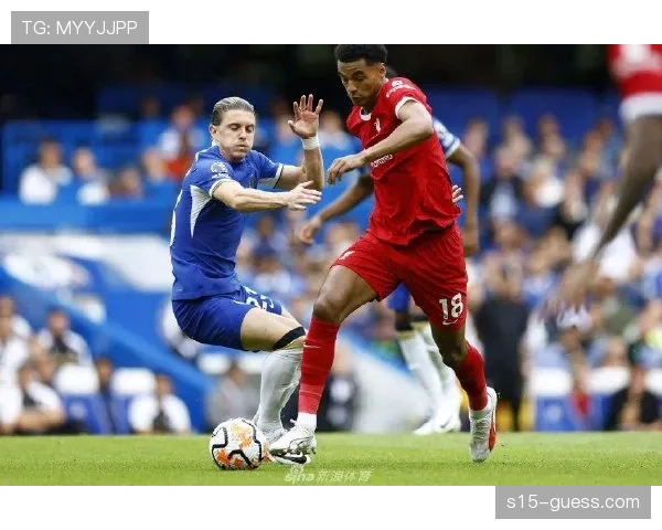 布莱顿2-2战平西汉姆联，客场顽强抢分稳固中游